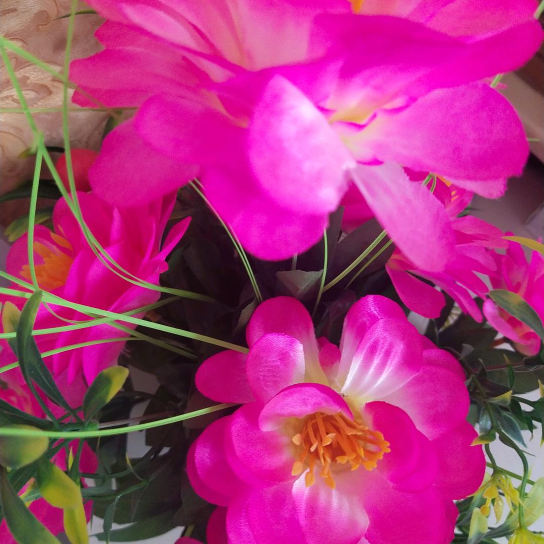 开心快乐！🍂🍂🍂