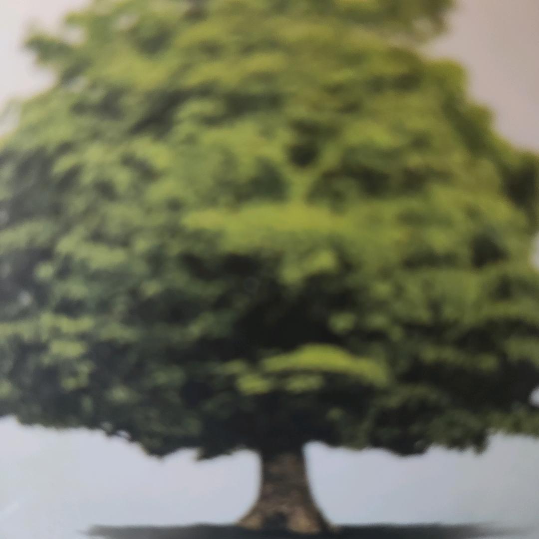 稻花香港城