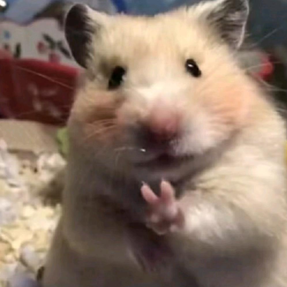 私底下炸鸡汉堡都来的