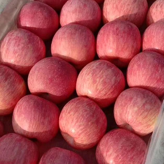 ❤️❤️开心果业