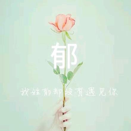 无门无派