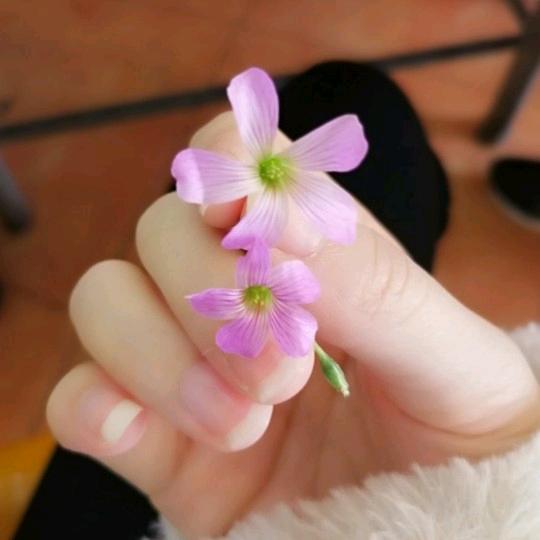 灰烬oo0