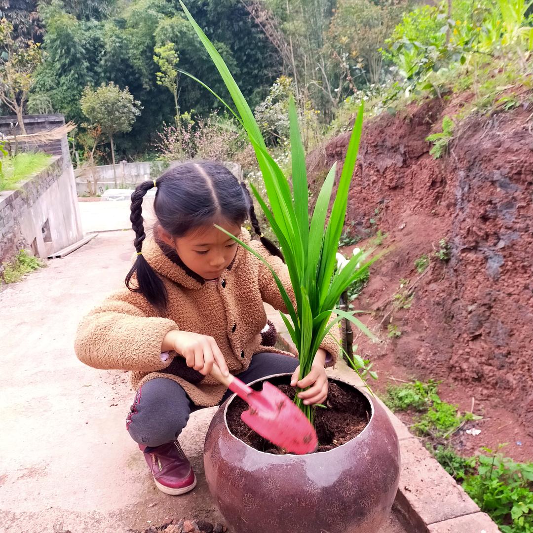 幸运之我🍀🌻🍀