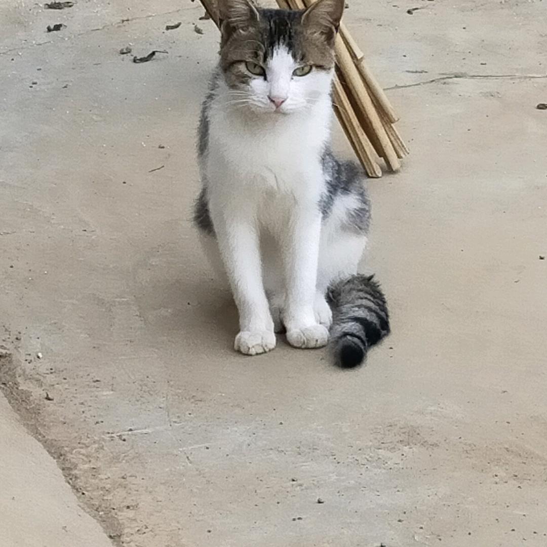 一叶知秋￥←_←