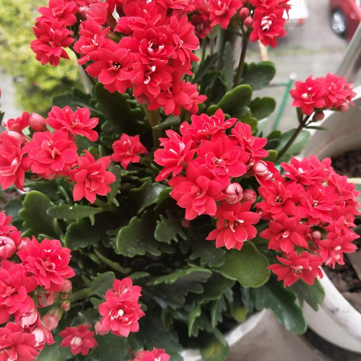 开心就好😃😃