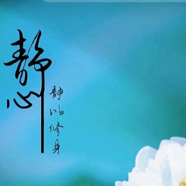 广东岩羊照明河南卡迪之光分公司:陈真