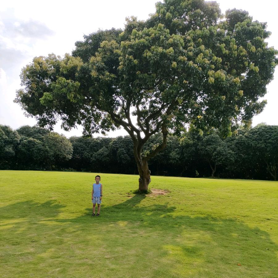 ༒࿈魂༙྇牵༙྇梦༙྇萦༙྇࿈༒