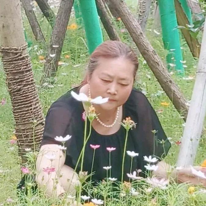 迪竹