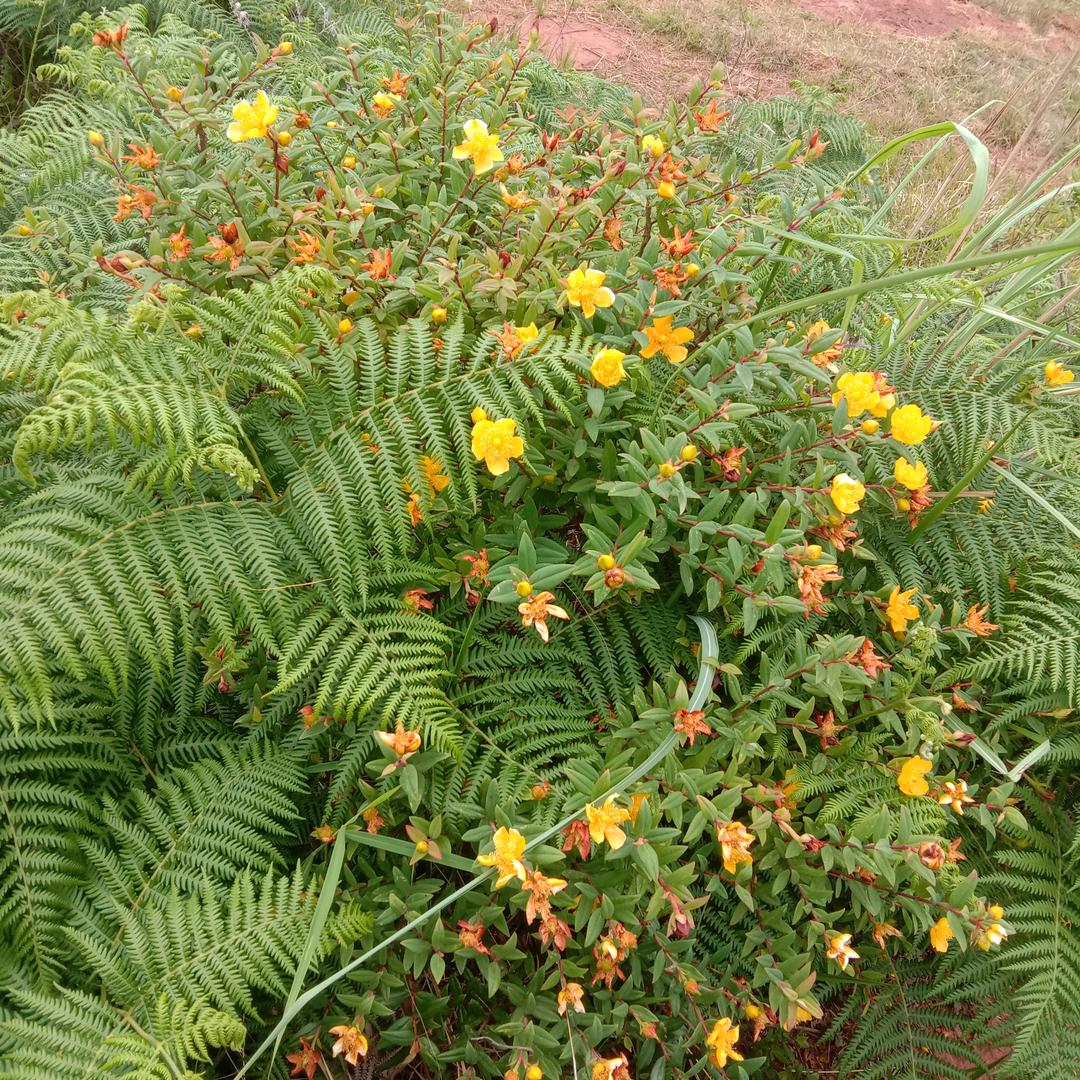 🥀এ᭄情深   ꦿ缘💔浅 ོ࿐ᩚ。