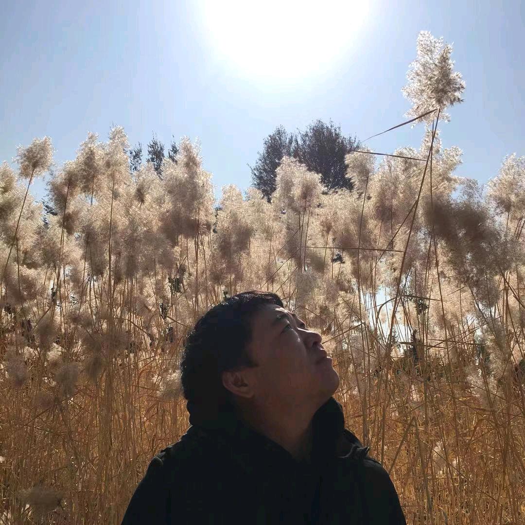 飞翔的翅膀