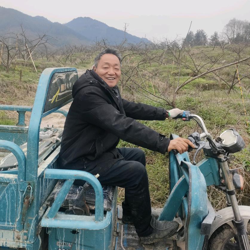 梁平安宁果树种植