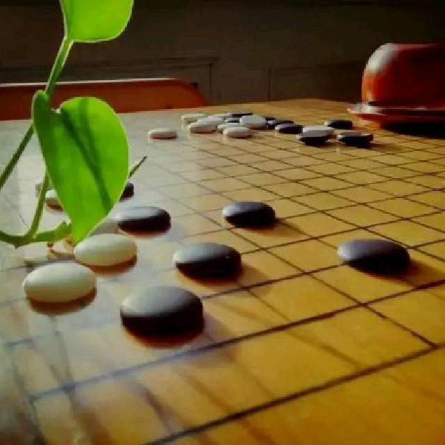 舒淇输棋