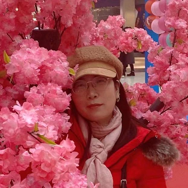 桃红 时尚电梯公寓