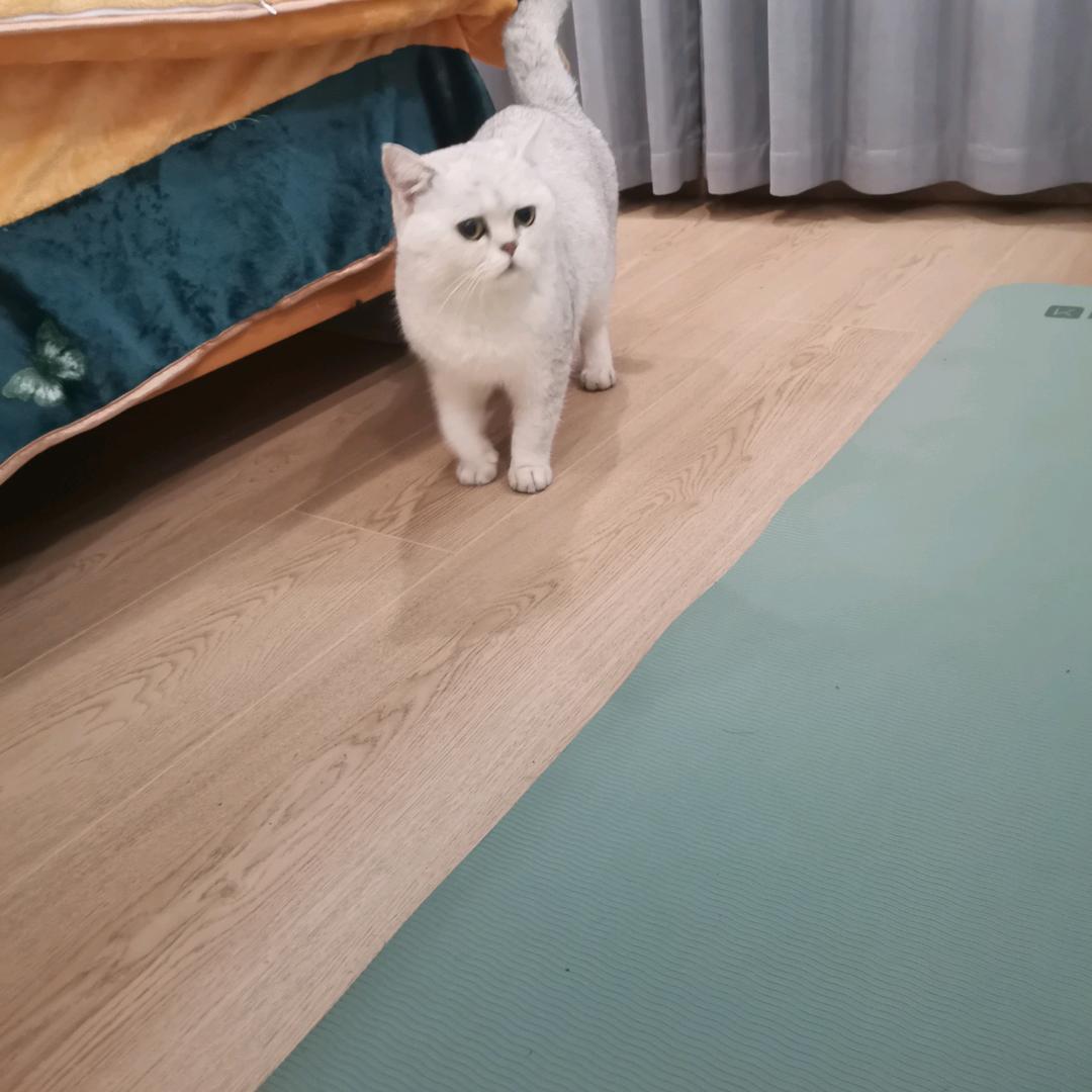 天魔头像