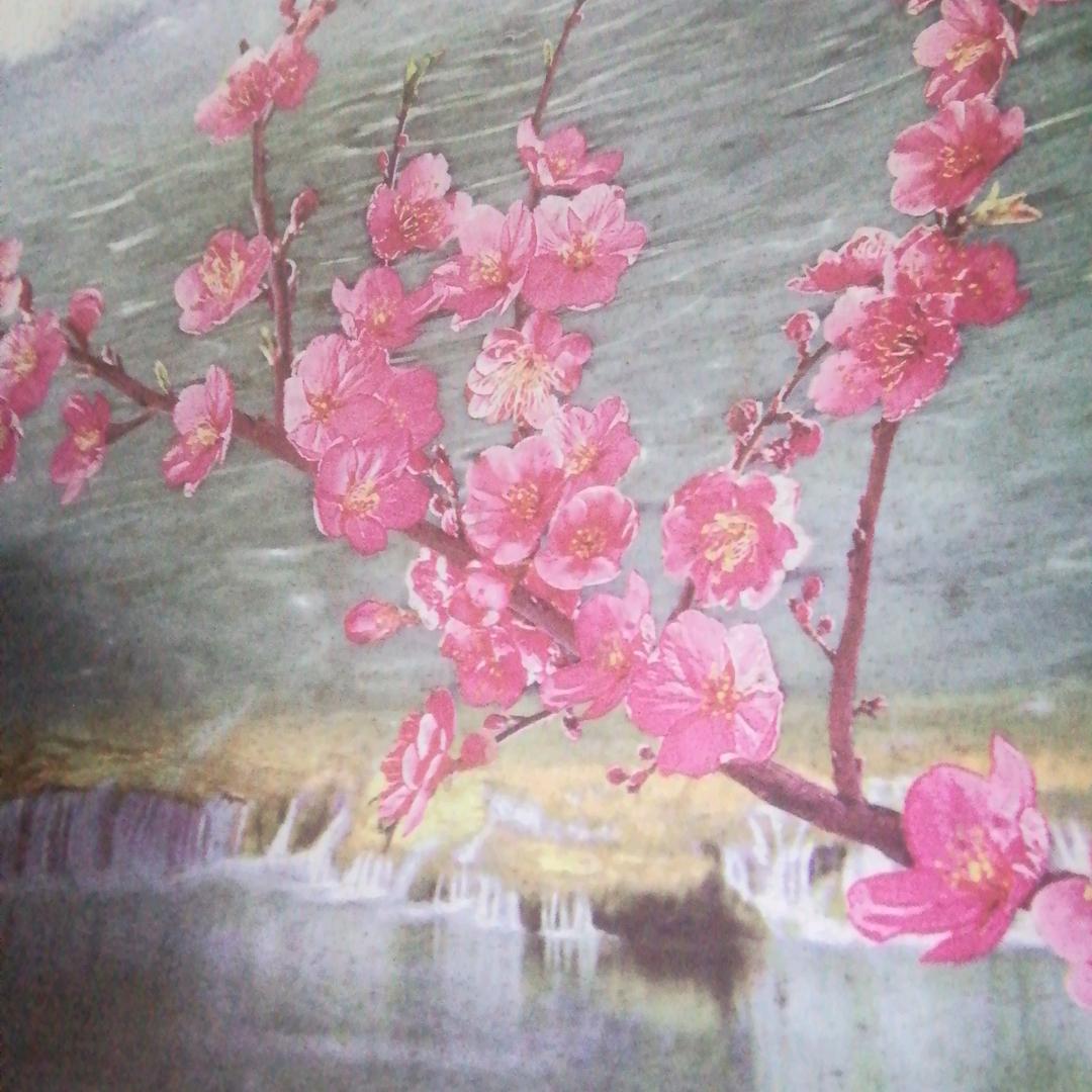 一生难忘