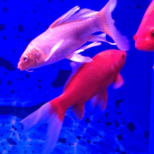 春雨的快乐生活