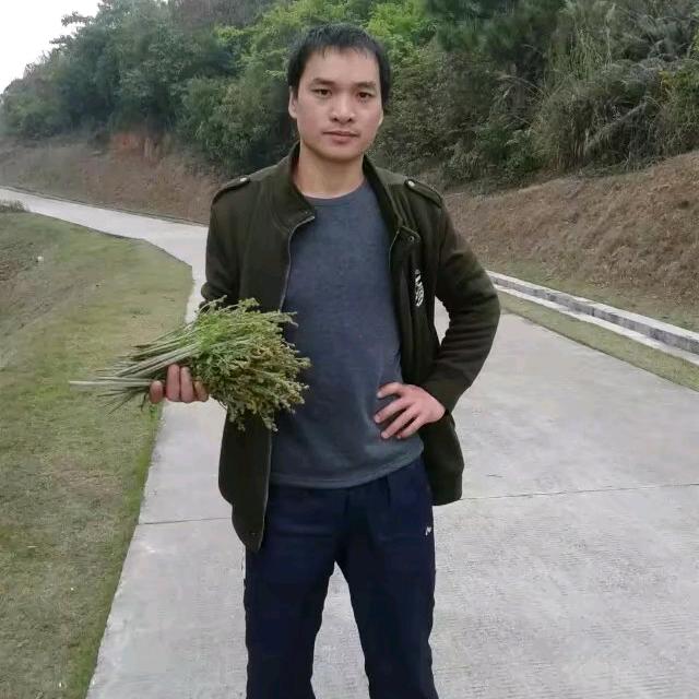 枫叶坚叉车出租