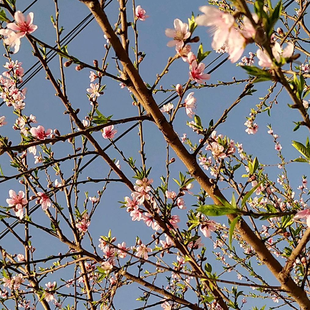 🌾🌾🌾暴富🤝暴美🎉🎉🎉