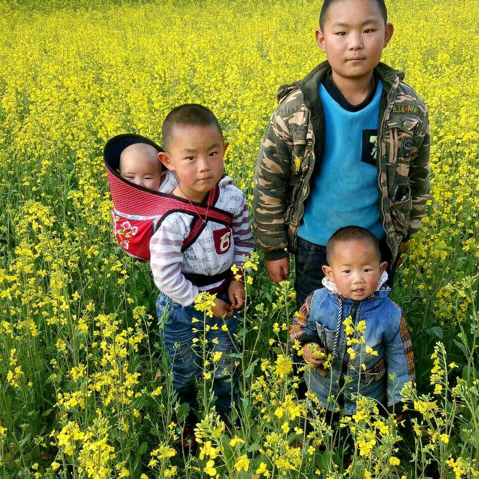 一生只为四宝拼搏