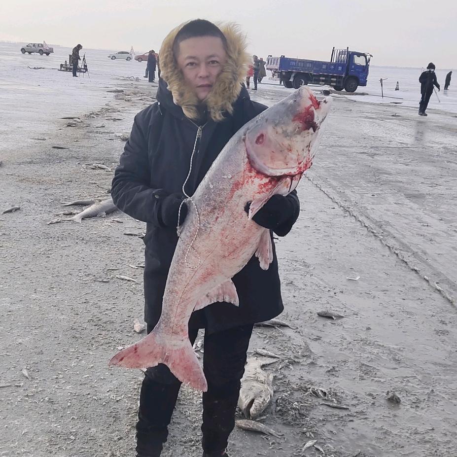 查干淡水湖全鱼宴鱼产品