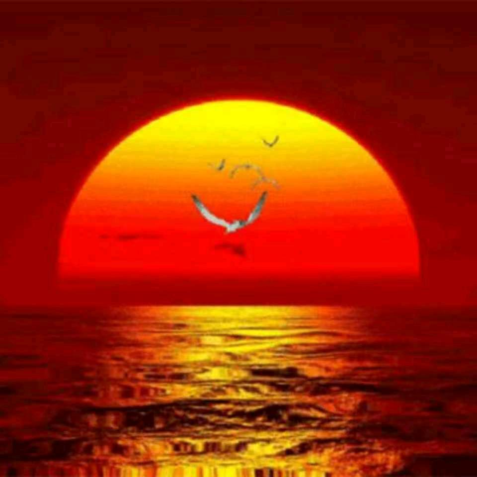 太阳王福群