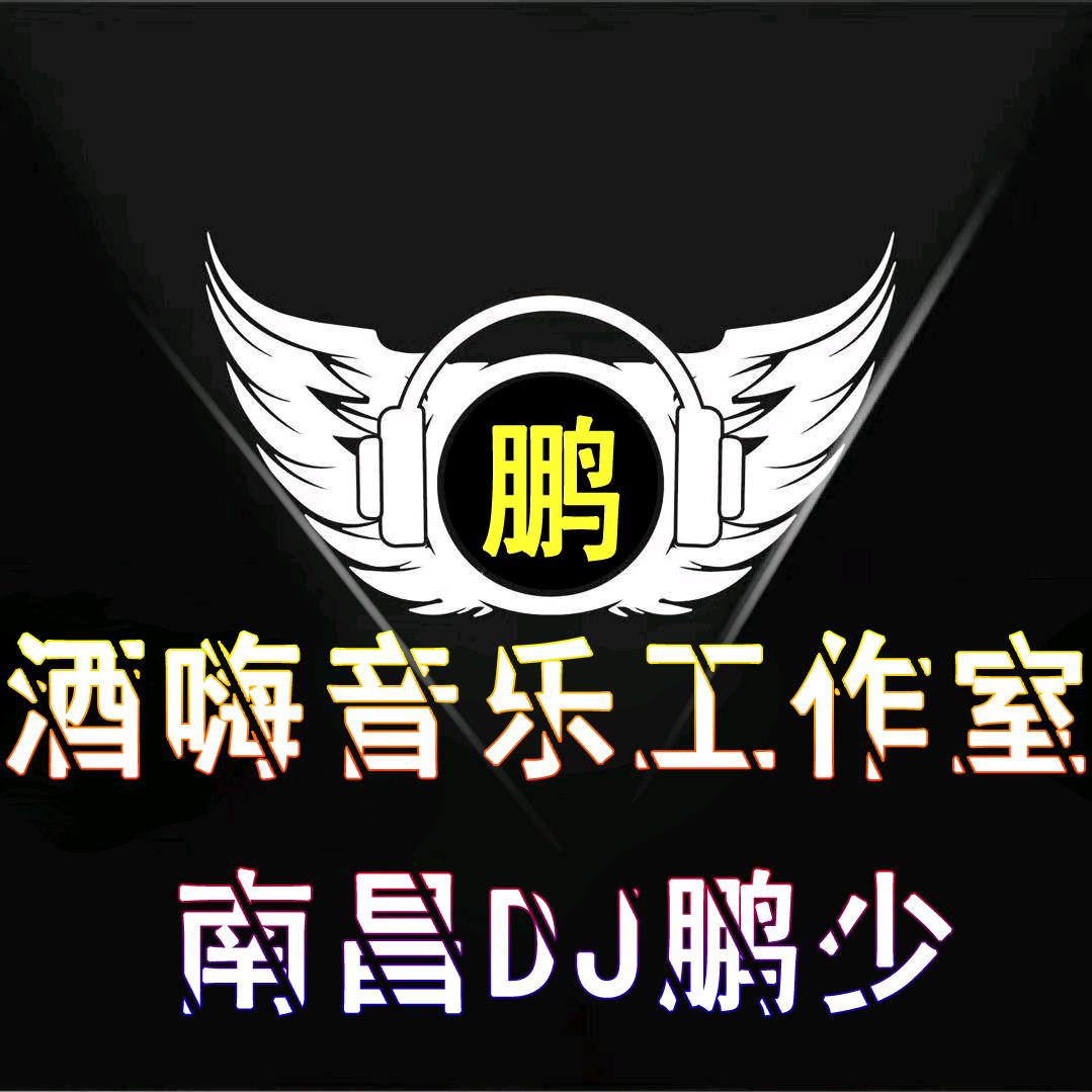 南昌DJ鹏少 车载优盘 CD 招学徒