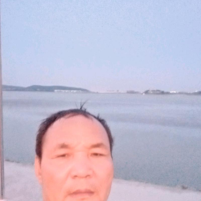 苦乐年华