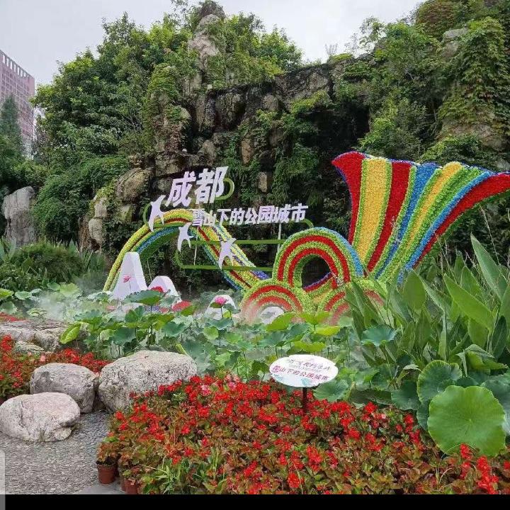 根哥