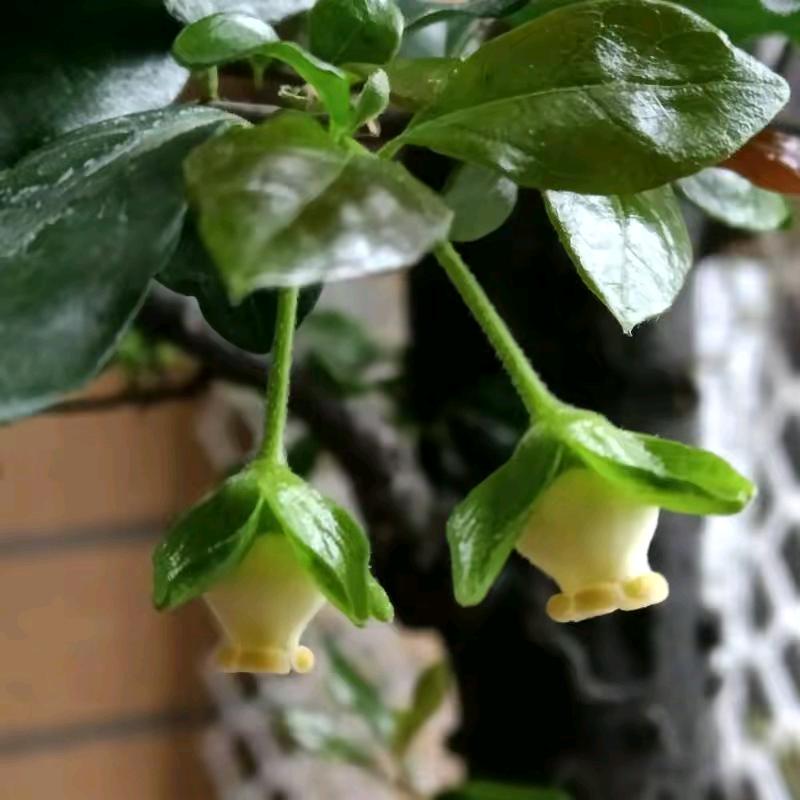 圈子不同别硬融