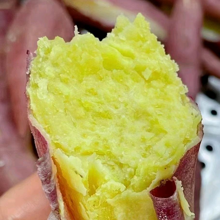 海南琼崇农业有限公司的小店