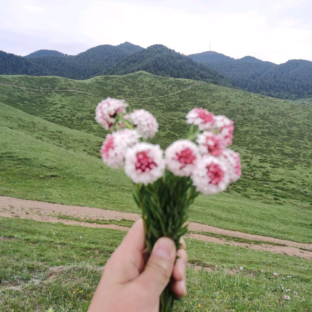 @在路上🚶🏃👯