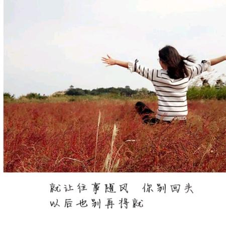 只爱碳水你不懂