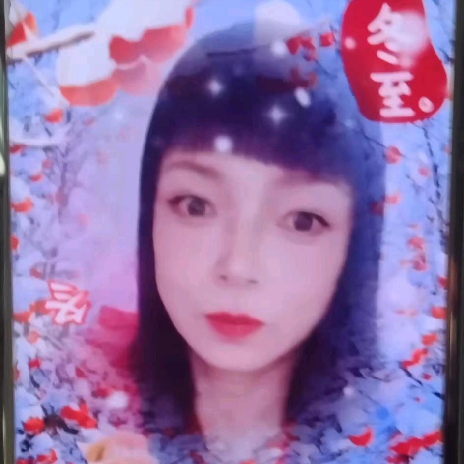 金凤凰
