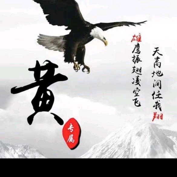 土豆