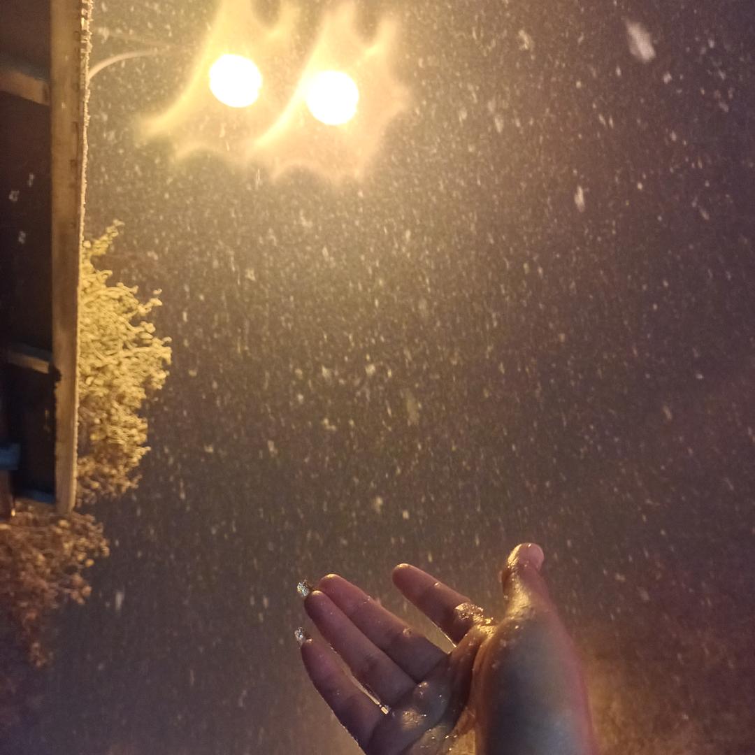 空白😜