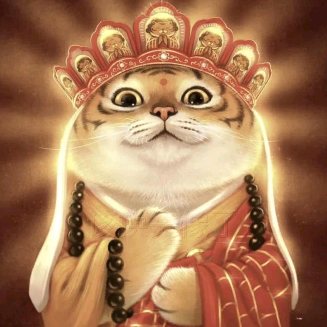 呦。呦°切克闹。