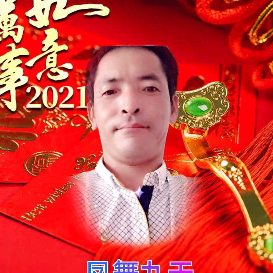 凤舞九天