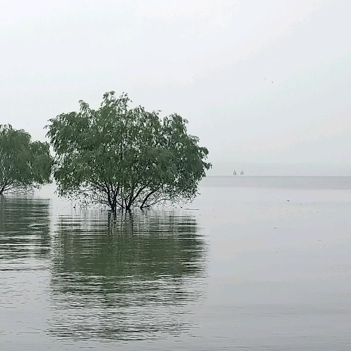 陌生人