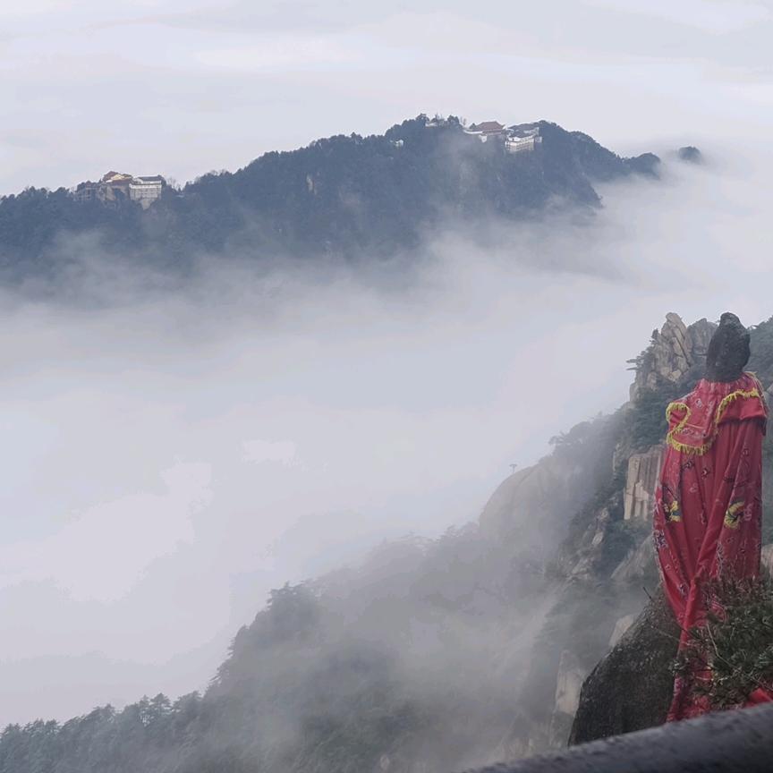 魏来可期🏌