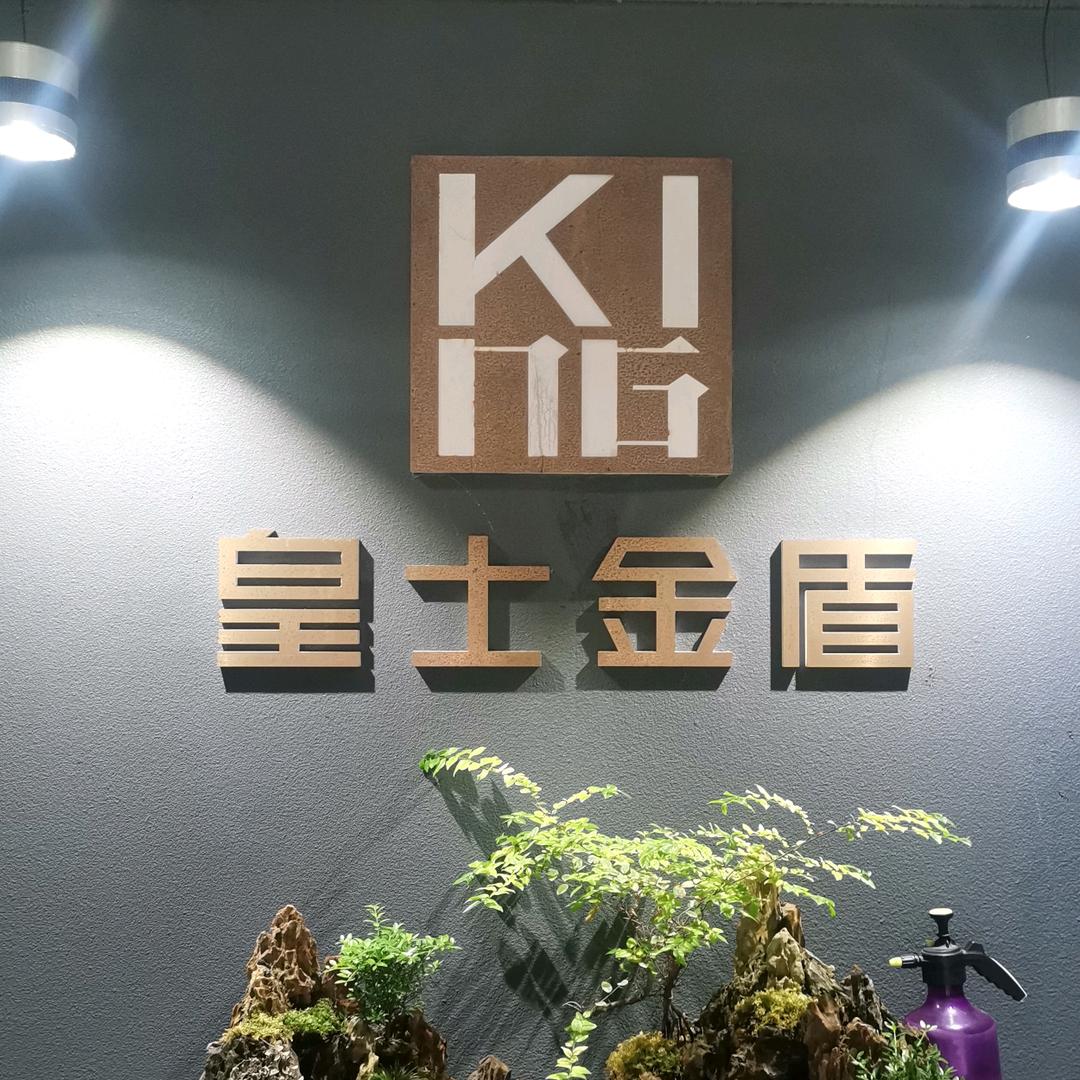 皇士金盾装甲门