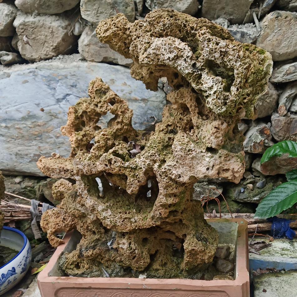 陌客