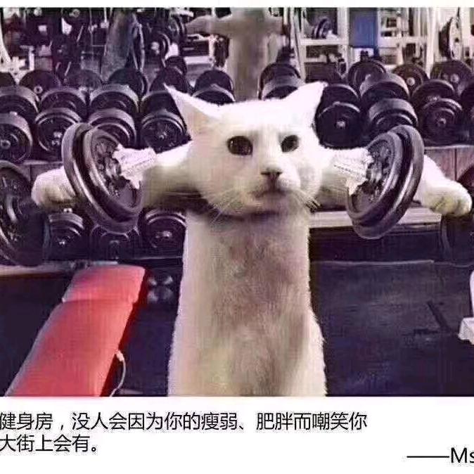 胖胖是真的胖