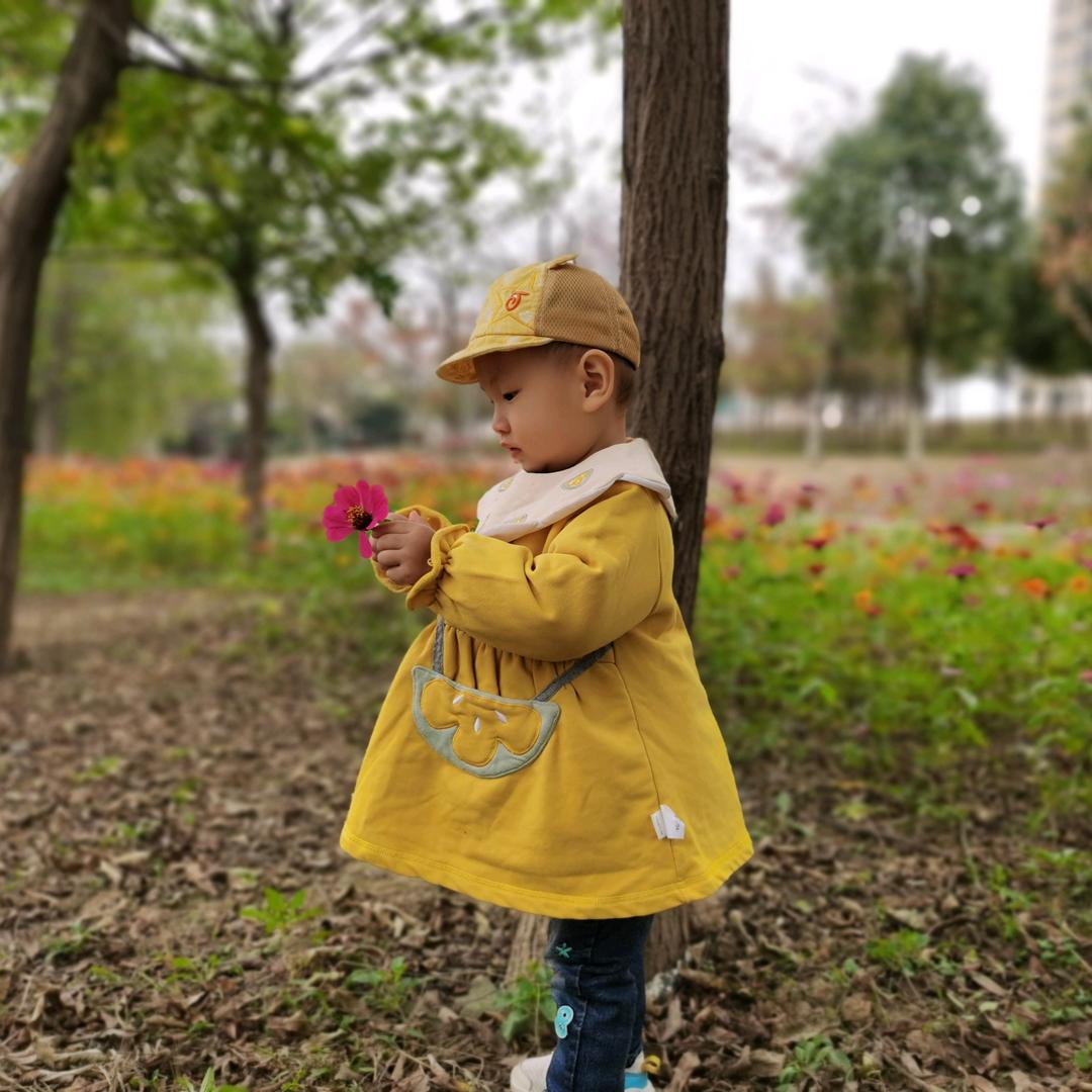 妙延