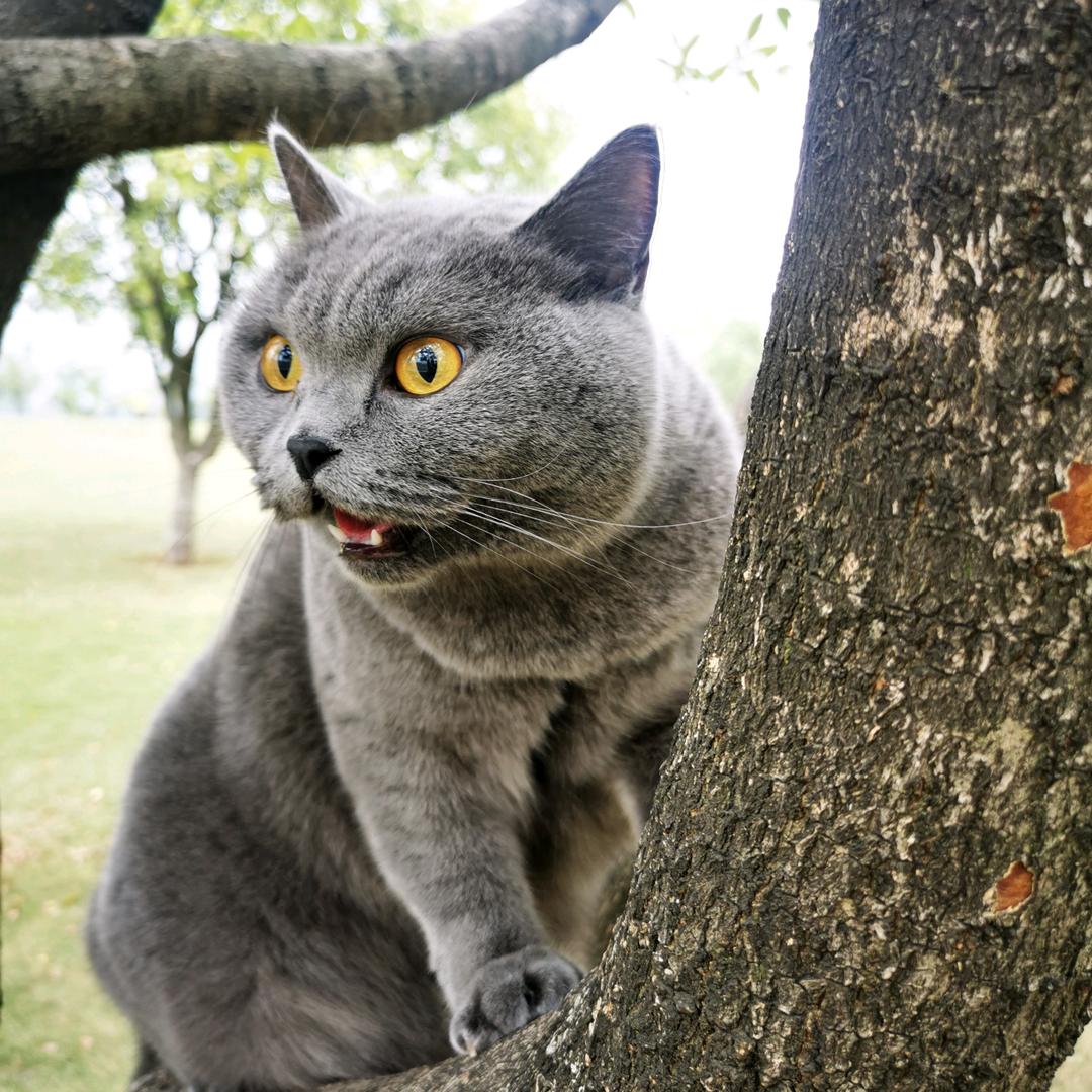 美好的一天从睁眼开始