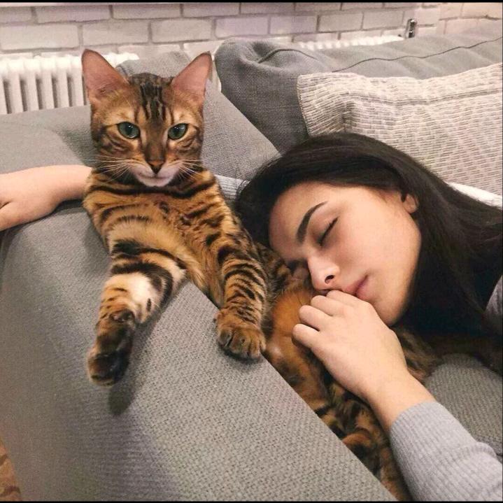 卡夫卡的熊🐻🐻