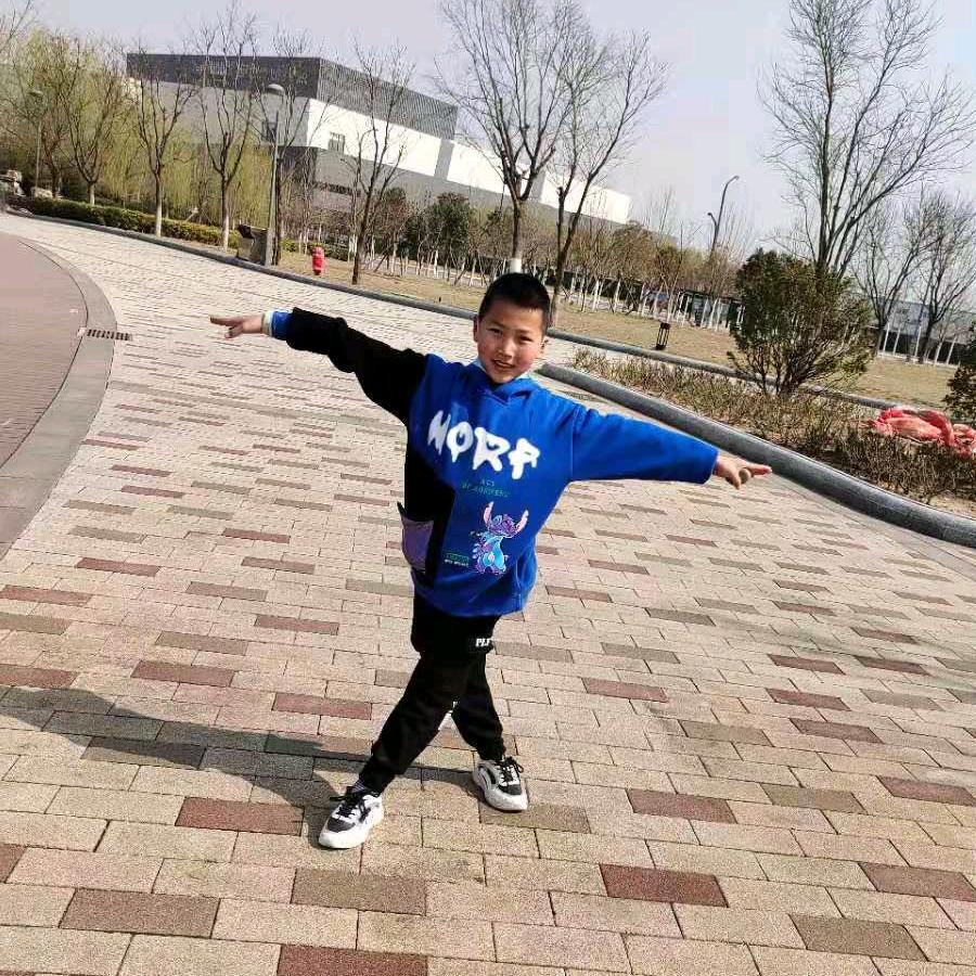 人生果