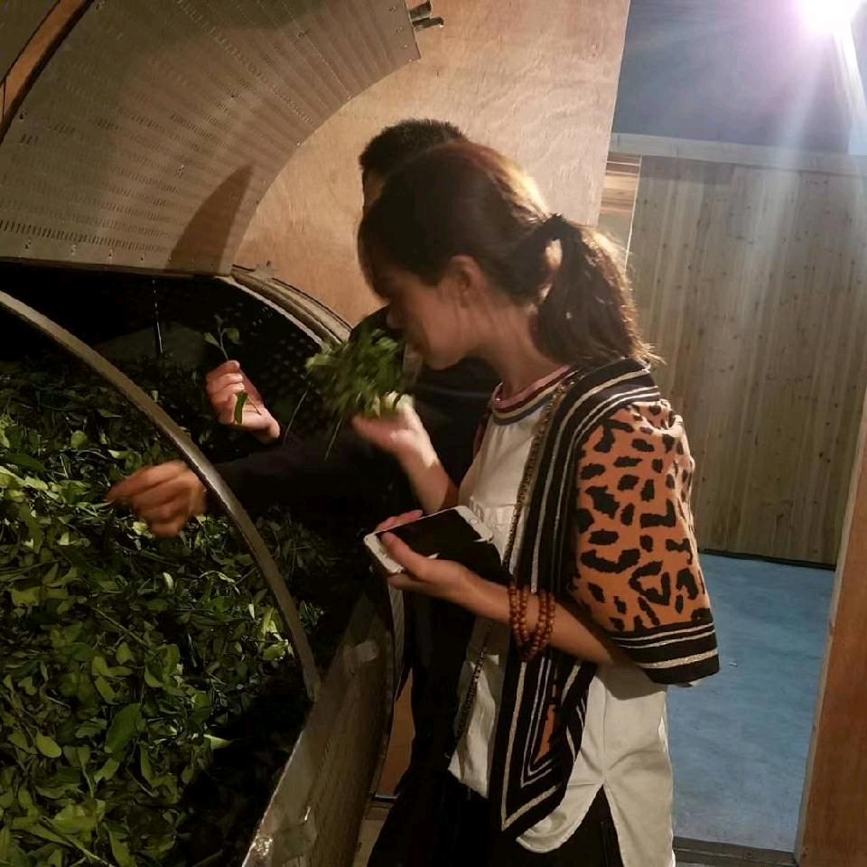 还在这里，扬扬