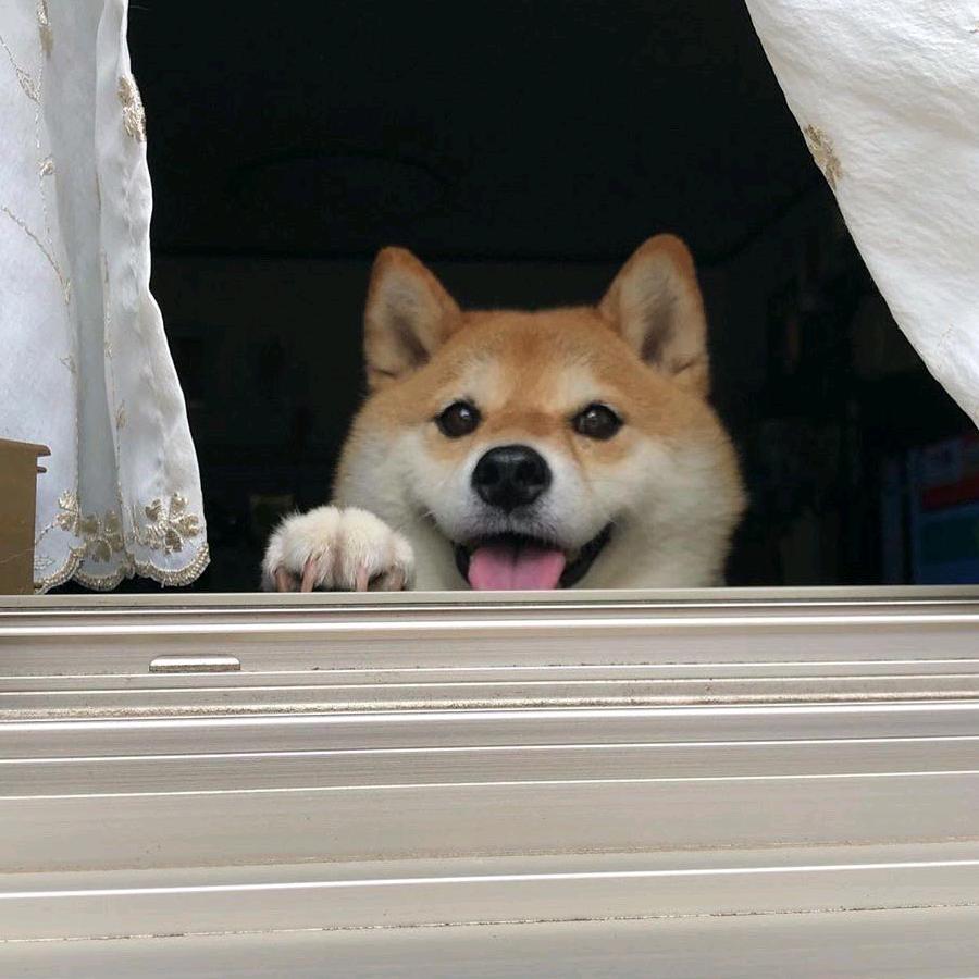 三万六