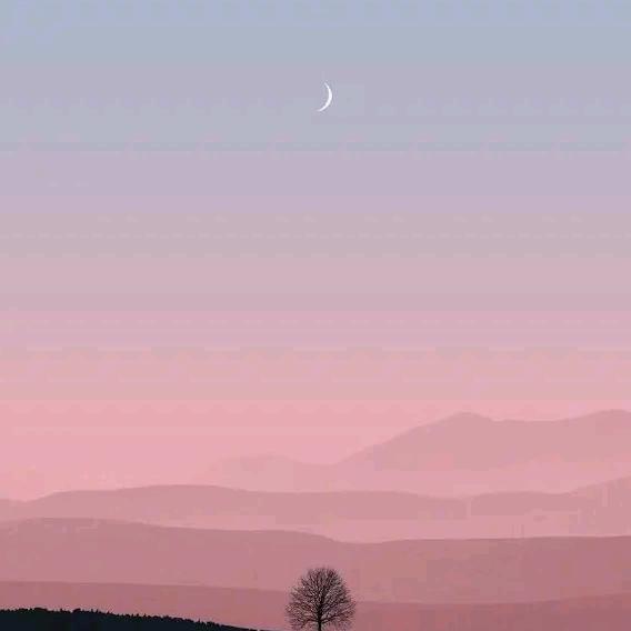 红✧