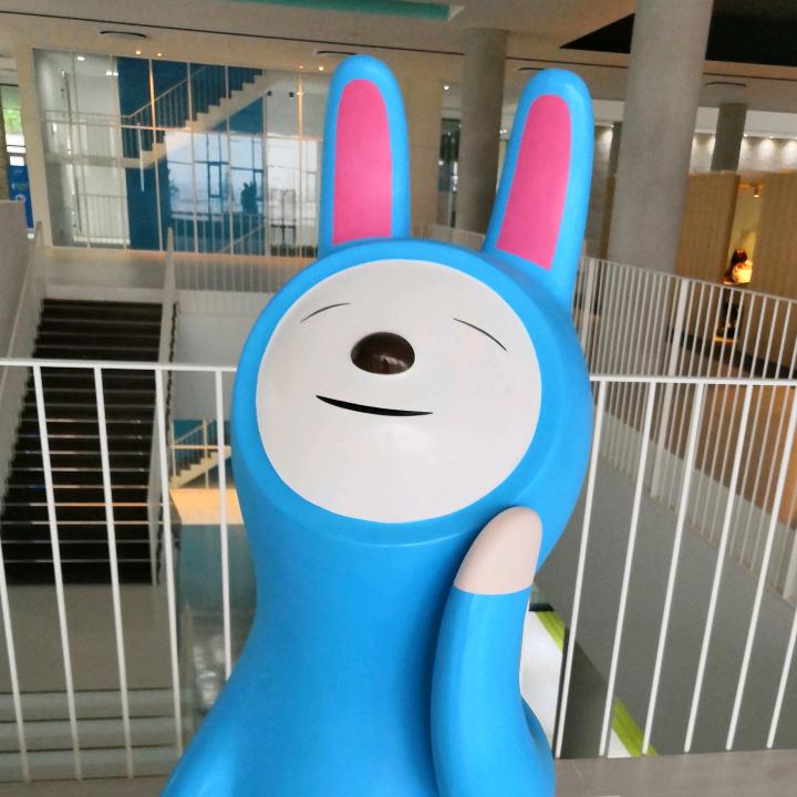sdlywjx